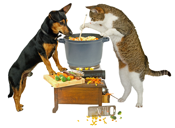 Healthy pet enjoying PurePet Nutrition organic food