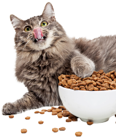 Pet with shiny coat from PurePet Nutrition